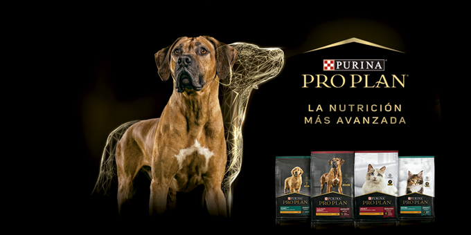 promo-banner-image